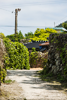 포토 JPG 주간 섬 주택 돌담 풍경 사람없음 야외 담쟁이덩굴 전라남도 전봇대 시골길 완도 국내포토 자연요소 공공시설 길 건물 담장 돌_바위 덩굴 전라도 파일형식