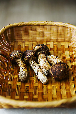 포토 JPG 실내 사람없음 소쿠리 담기 송이버섯 국내포토 모션 내부 바구니 버섯 파일형식