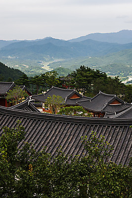 포토 JPG 주간 나무 구름 하늘 산 한옥 풍경 사람없음 야외 경상남도 기와지붕 한옥마을 산청 국내포토 자연요소 식물 한국전통 고건축 지붕 기와 마을 경상도 파일형식