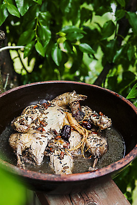 포토 JPG 주간 그릇 나뭇잎 여름음식 사람없음 야외 한약재 경상남도 담기 백숙 산청 한방삼계탕 제철음식 국내포토 자연요소 식기 음식 잎 모션 약재 경상도 삼계탕 제철 파일형식 여름_계절