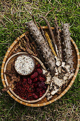 포토 JPG 주간 사람없음 야외 소쿠리 한약재 경상남도 담기 대추 가시오가피 당귀 땅바닥 산청 음나무 국내포토 자연요소 나무 모션 바닥 바구니 약재 경상도 파일형식