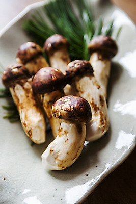 포토 JPG 접시 실내 사람없음 아웃포커스 경상남도 담기 솔잎 송이버섯 산청 국내포토 식기 잎 모션 촬영기법 내부 버섯 경상도 파일형식