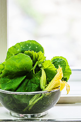 포토 JPG 주간 실내 사람없음 경상남도 담기 채반 산청 호박잎 국내포토 자연요소 그릇 잎 모션 내부 경상도 파일형식