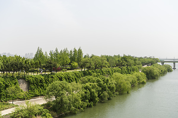 포토 JPG 주간 나무 하늘 사람없음 야외 봄풍경 산책로 한강 선유도공원 국내포토 자연요소 식물 공원 길 서울 풍경 봄 랜드마크 파일형식