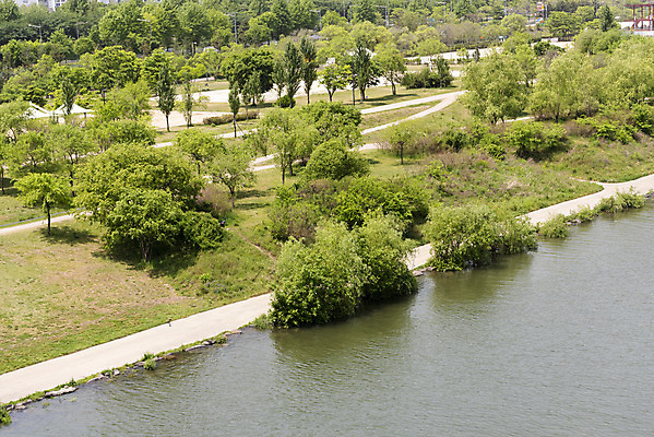 포토 JPG 주간 나무 사람없음 야외 봄풍경 산책로 한강 선유도공원 국내포토 자연요소 식물 공원 길 서울 풍경 봄 랜드마크 파일형식