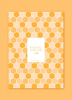 일러스트 사람없음 그래픽 주황색 패턴백그라운드 벌집무늬 파스텔톤 국내일러스트 AI파일 컬러 백그라운드 패턴 파일형식 벡터