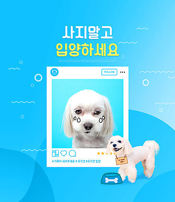 PSD 편집이미지 반려견 하늘색 두마리 웃음 타이포그라피 사람없음 반려동물 말티즈 강아지 울음 개밥그릇 반려 유기견 입양 유기동물 이미지편집 동물 문자 그릇 2 표정 파란색 개 애견용품 파일형식
