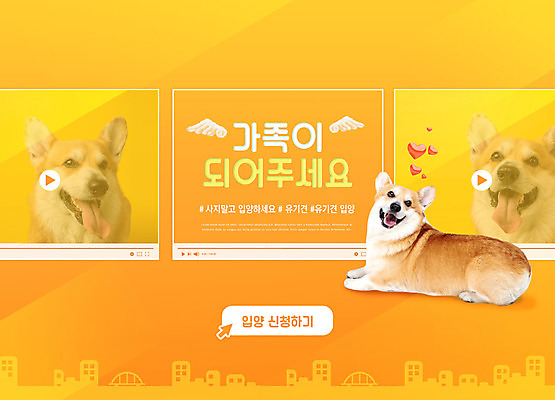 PSD 편집이미지 반려견 세마리 웃음 타이포그라피 사람없음 반려동물 주황색 강아지 동영상창 반려 웰시코기 유기견 입양 유기동물 이미지편집 동물 문자 컬러 표정 3 개 동영상 파일형식