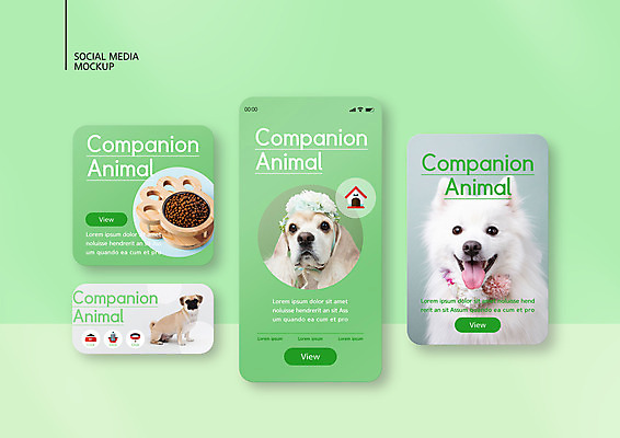 PSD 템플릿 배너템플릿 ZIP 반려견 웹템플릿 디자인시안 모바일 세마리 사람없음 연두색 스마트폰 세트 코커스패니얼 개 강아지 모바일템플릿 모바일웹 애견용품 개밥그릇 개사료 반려 소셜네트워크 소셜미디어 퍼그 웹배너 모바일앱 SNS배너 모바일페이지 스피츠 이미지템플릿 반려용품 그릇 배너 포유류 3 초록색 핸드폰 스마트기기 반려동물 스패니얼 먹이 오브젝트 페이지 파일형식