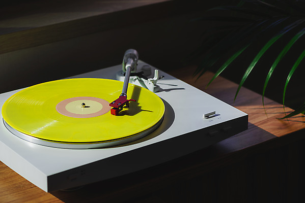 포토 JPG 식물 화분 실내 사람없음 햇빛 창가 복고 턴테이블 뉴트로 나무배경 국내포토 백그라운드 창문 내부 태양 파일형식