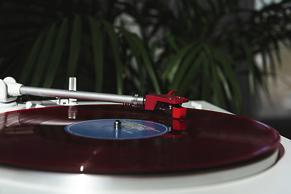 포토 JPG 식물 화분 실내 근접촬영 사람없음 햇빛 창가 복고 턴테이블 뉴트로 국내포토 뷰포인트 창문 내부 태양 파일형식