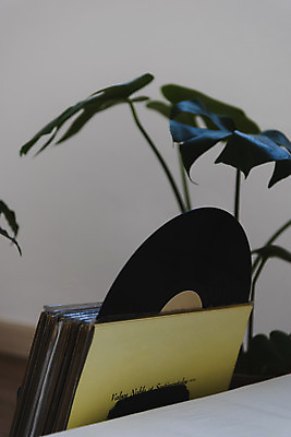 포토 JPG 식물 화분 실내 사람없음 햇빛 창가 복고 뉴트로 국내포토 창문 내부 태양 파일형식