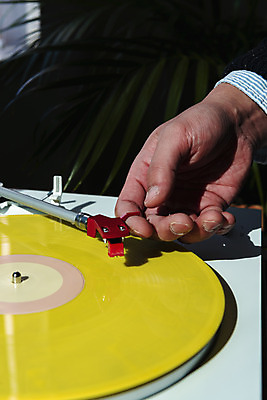 포토 JPG 식물 손 화분 실내 신체부위 햇빛 창가 복고 턴테이블 뉴트로 국내포토 창문 사람 내부 태양 파일형식