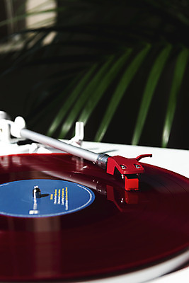 포토 JPG 식물 화분 실내 사람없음 아웃포커스 햇빛 창가 복고 턴테이블 뉴트로 국내포토 창문 촬영기법 내부 태양 파일형식