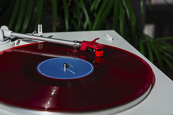 포토 JPG 식물 실내 사람없음 아웃포커스 햇빛 창가 복고 턴테이블 뉴트로 국내포토 창문 촬영기법 내부 태양 파일형식