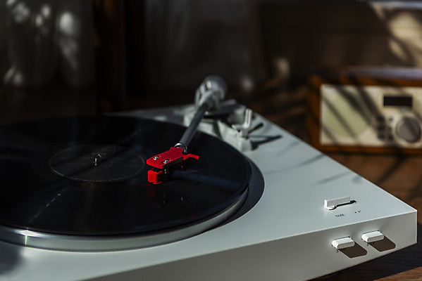 포토 JPG 주간 식물 화분 실내 사람없음 아웃포커스 햇빛 창가 복고 턴테이블 뉴트로 국내포토 자연요소 창문 촬영기법 내부 태양 파일형식