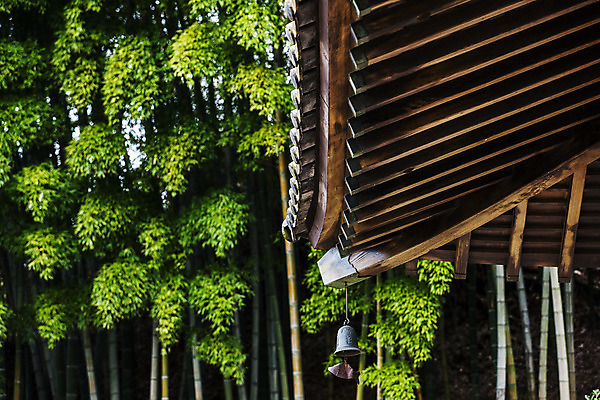 포토 JPG 주간 사람없음 야외 전라북도 대나무 군산 지붕처마 풍경종 국내포토 자연요소 나무 지붕 종 전라도 처마 파일형식