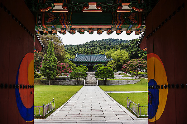 포토 JPG 주간 나무 길 사람없음 야외 충청남도 대문 석상 현충사 아산 국내포토 자연요소 식물 문 충청도 파일형식