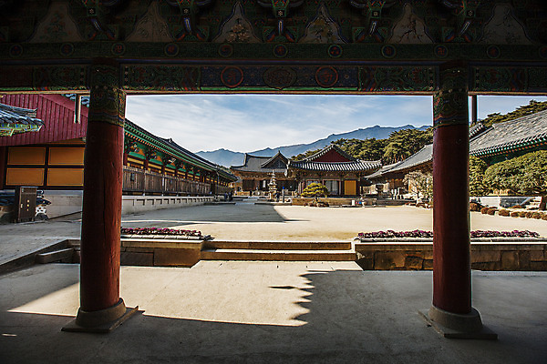 포토 JPG 주간 구름 하늘 사람없음 야외 경상북도 나무기둥 통도사 국내포토 양산시 자연요소 사찰 경상도 경상남도 파일형식 양산_지역