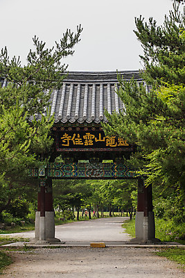 포토 JPG 주간 나무 불교 사람없음 야외 전라남도 운주사 현판 화순 국내포토 자연요소 식물 종교 사찰 전라도 파일형식