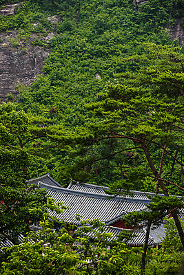 포토 JPG 주간 나무 불교 사람없음 야외 전라남도 기와지붕 운주사 화순 국내포토 자연요소 식물 종교 지붕 기와 사찰 전라도 파일형식