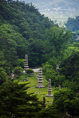 포토 JPG 주간 나무 불교 사람없음 야외 석탑 전라남도 운주사 화순 국내포토 자연요소 식물 종교 탑 사찰 전라도 파일형식