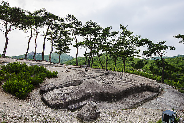 포토 JPG 주간 나무 사람없음 야외 바위 전라남도 불상 운주사 화순 국내포토 자연요소 식물 불교 돌_바위 사찰 전라도 파일형식