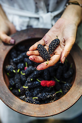 포토 JPG 주간 손 들기 야외 신체부위 전라북도 담기 특산물 나무그릇 부안 오디 국내포토 자연요소 그릇 열매 모션 사람 목재 전라도 파일형식