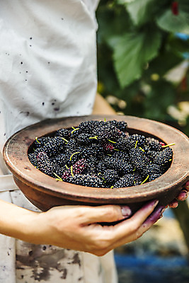 포토 JPG 주간 손 들기 야외 신체부위 전라북도 담기 특산물 나무그릇 부안 오디 국내포토 자연요소 그릇 열매 모션 사람 목재 전라도 파일형식