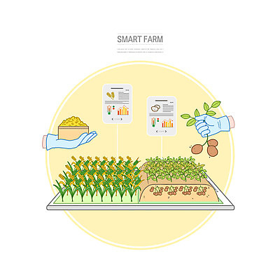 PSD 손 장갑 일러스트 그래프 감자 들기 사람없음 신체부위 농작물 벼 쌀 하이테크 자동화 첨단기기 스마트팜 국내일러스트 잡화 농업 채소 모션 곡류 기술 사람 농장 기계 파일형식