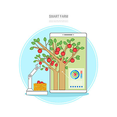 PSD 일러스트 사람없음 스마트폰 기계 수확 사과 과수원 하이테크 사과나무 로봇팔 자동화 첨단기기 스마트팜 국내일러스트 나무 농업 과일 기술 핸드폰 스마트기기 농장 로봇 파일형식