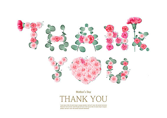 PSD 분홍색 잎 일러스트 타이포그라피 사람없음 하트 어버이날 카네이션 감사 땡큐 국내일러스트 모양 식물 문자 기념일 꽃 감정 컬러 파일형식