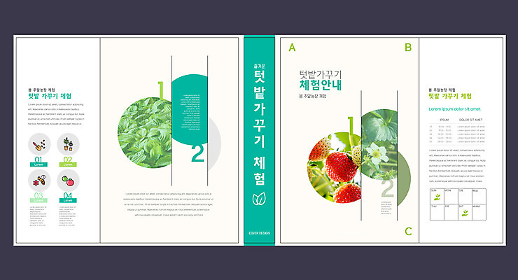 템플릿 표지디자인 북디자인 출판디자인 교육 표지 꽃 북커버 딸기 사람없음 책 체험 원예 농장체험 베이지색 에듀 에듀케이션 텃밭 스쿨팩 책날개 표지샘플 이미지템플릿 AI파일 식물 컬러 컨셉 밭 과일 취미 농장 체험학습 파일형식 벡터