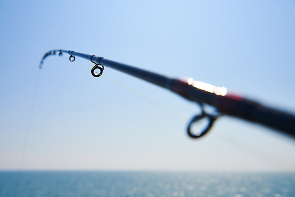 포토 JPG 주간 바다 레저 낚시 아웃도어 근접촬영 취미 사람없음 야외 아웃포커스 낚싯대 소프트포커스 낚시줄 서해 궁평항 국내포토 자연요소 뷰포인트 촬영기법 항구 낚시용품 경기도 파일형식