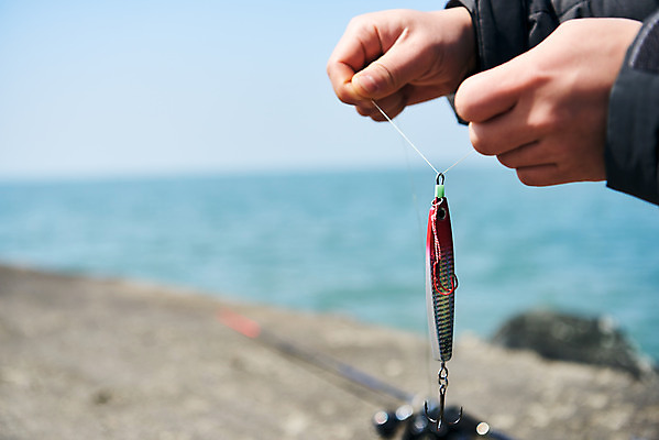 포토 JPG 주간 손 바다 레저 낚시 아웃도어 들기 취미 야외 아웃포커스 신체부위 낚싯바늘 미끼 서해 궁평항 국내포토 자연요소 모션 촬영기법 사람 항구 낚시용품 경기도 파일형식
