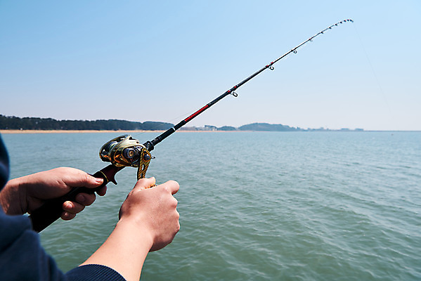 포토 JPG 주간 손 바다 하늘 레저 낚시 아웃도어 들기 취미 야외 신체부위 낚싯대 서해 궁평항 국내포토 자연요소 모션 사람 항구 낚시용품 경기도 파일형식