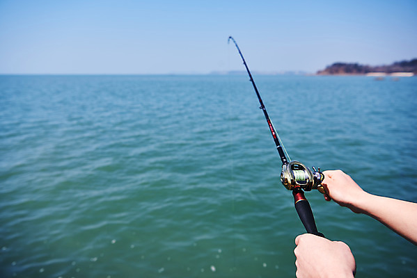 포토 JPG 주간 손 바다 레저 낚시 아웃도어 들기 취미 야외 아웃포커스 신체부위 낚싯대 서해 궁평항 국내포토 자연요소 모션 촬영기법 사람 항구 낚시용품 경기도 파일형식