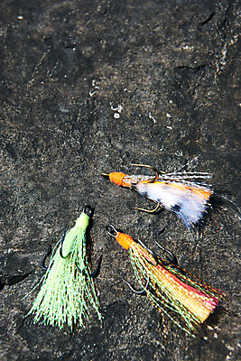 포토 JPG 주간 레저 낚시 바닥 아웃도어 취미 사람없음 야외 하이앵글 바위 낚싯바늘 미끼 궁평항 국내포토 자연요소 뷰포인트 항구 돌_바위 낚시용품 경기도 파일형식