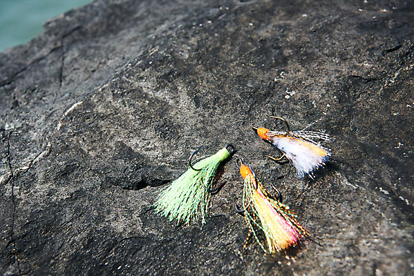 포토 JPG 주간 레저 낚시 바닥 아웃도어 취미 사람없음 야외 바위 낚싯바늘 미끼 궁평항 국내포토 자연요소 항구 돌_바위 낚시용품 경기도 파일형식