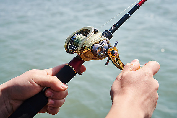 포토 JPG 주간 손 바다 레저 낚시 아웃도어 들기 근접촬영 취미 야외 신체부위 낚싯대 서해 궁평항 국내포토 자연요소 뷰포인트 모션 사람 항구 낚시용품 경기도 파일형식