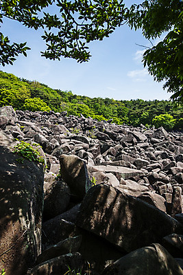 포토 JPG 주간 하늘 나뭇잎 풍경 사람없음 야외 바위 경상남도 국내여행 밀양 국내포토 자연요소 여행 잎 돌_바위 경상도 파일형식