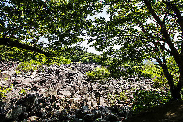 포토 JPG 주간 나무 나뭇잎 그림자 풍경 사람없음 야외 바위 경상남도 국내여행 밀양 국내포토 자연요소 식물 여행 잎 돌_바위 경상도 파일형식