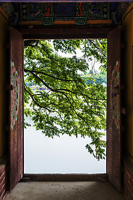 포토 JPG 주간 나뭇잎 한옥 풍경 사람없음 야외 나뭇가지 경상남도 국내여행 밀양 국내포토 자연요소 나무 한국전통 여행 고건축 잎 경상도 파일형식