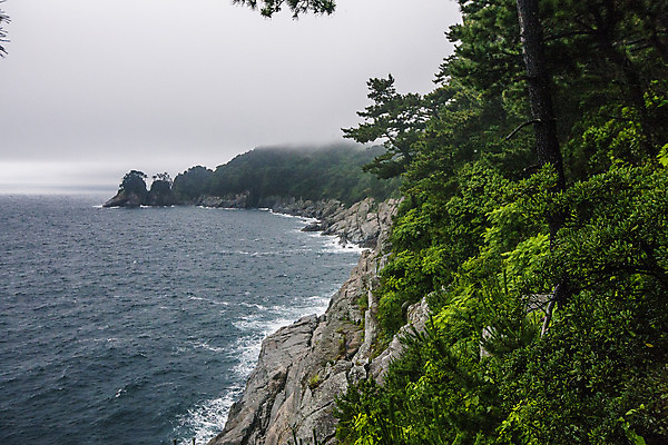 포토 JPG 주간 바다 풍경 사람없음 야외 안개 바위 숲 경상남도 남해 거제도 국내여행 국내포토 자연요소 섬 여행 날씨 돌_바위 경상도 거제 파일형식