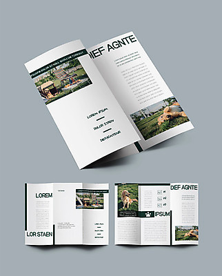 템플릿 표지디자인 표지 ZIP 내지 반려견 리플렛 여러마리 3단접지 팜플렛 잔디 초원 사람없음 반려동물 산책 캠핑 골든리트리버 반려 인디자인 INDD 이미지템플릿 식물 동물 다수 레저 휴식 개 리트리버 파일형식