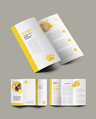 템플릿 표지디자인 표지 ZIP 내지 반려견 리플렛 3단접지 세마리 팜플렛 사람없음 반려동물 노란색 말티즈 개 강아지 분석 개발바닥 반려 웰시코기 인디자인 INDD 이미지템플릿 동물 컬러 컨셉 포유류 3 발바닥 파일형식