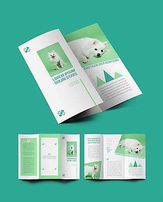 템플릿 표지디자인 표지 ZIP 내지 반려견 리플렛 여러마리 3단접지 건강 팜플렛 사람없음 연두색 반려동물 개 강아지 확인 반려 인디자인 INDD 스피츠 이미지템플릿 동물 다수 포유류 초록색 파일형식