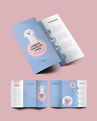 템플릿 표지디자인 표지 ZIP 내지 반려견 리플렛 하늘색 3단접지 세마리 팜플렛 사람없음 반려동물 말티즈 개 강아지 구급상자 목줄 반려 인디자인 INDD 이미지템플릿 동물 포유류 3 파란색 의료용품 파일형식 반려용품