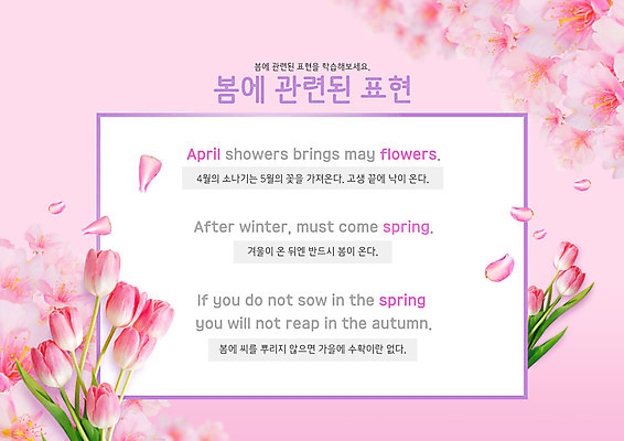 PSD 편집이미지 영어 꽃 문장 분홍색 영어교육 타이포그라피 사람없음 봄 튤립 표현 퀴즈 4월 5월 문제 낱말카드 단어맞추기 영어문장 이미지편집 식물 문자 계절 교육 컬러 날짜 교구 맞추기 파일형식