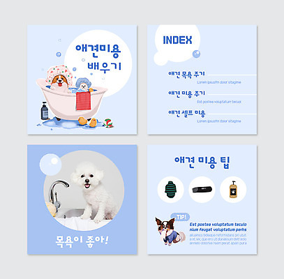 PSD 템플릿 반려견 웹템플릿 하늘색 여러마리 욕조 사람없음 목욕 강아지 애견용품 반려 샤워캡 애견미용 비숑프리제 카드뉴스 이미지템플릿 반려용품 다수 파란색 반려동물 뷰티 청결 개 오브젝트 파일형식